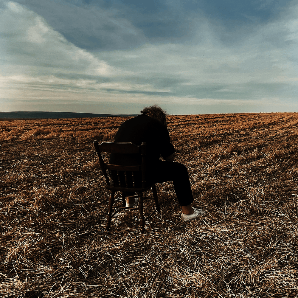 Review: ZOMBIESHARK!-Die Laughing