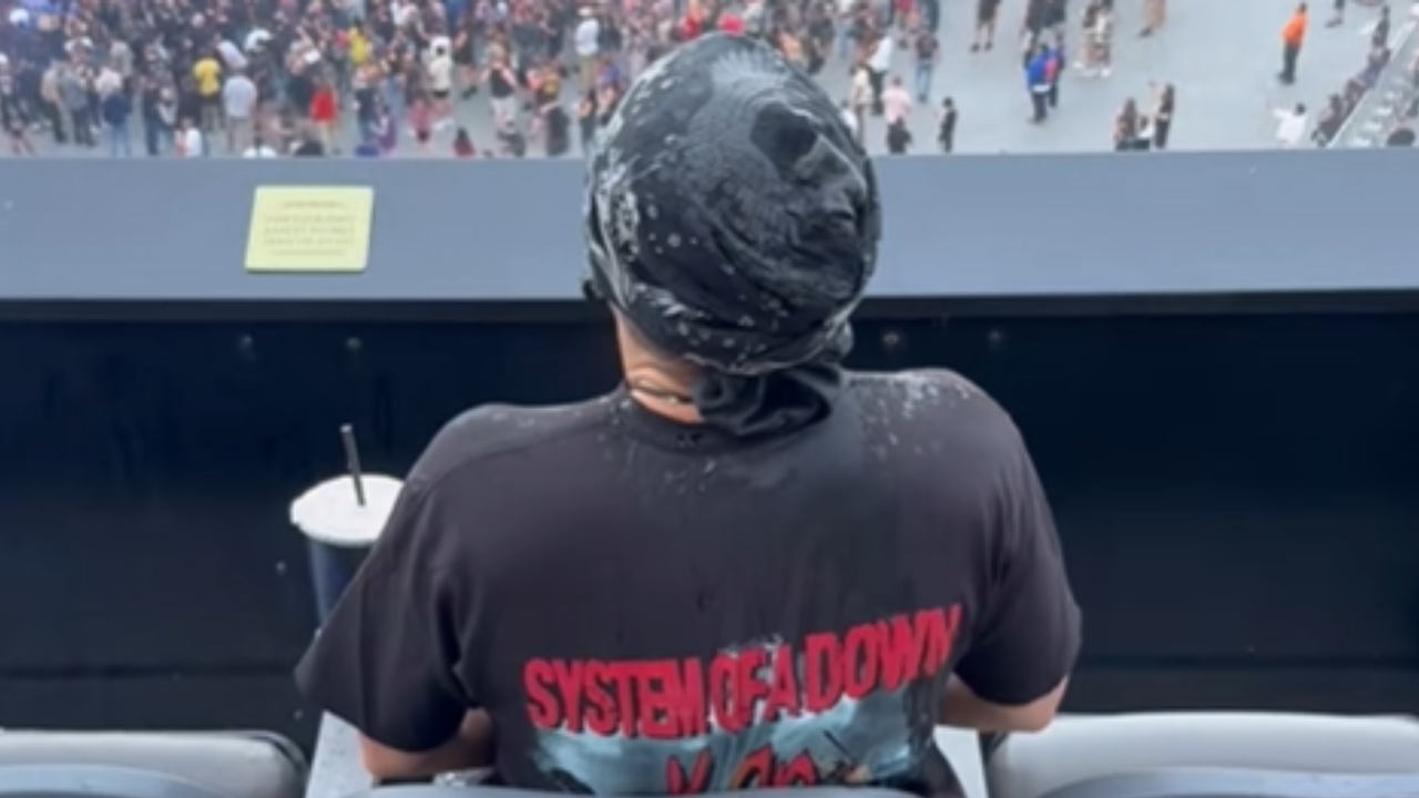 Man At Korn/SOAD MetLife Concert Took "A.D.I.D.A.S." A Little Too Seriously